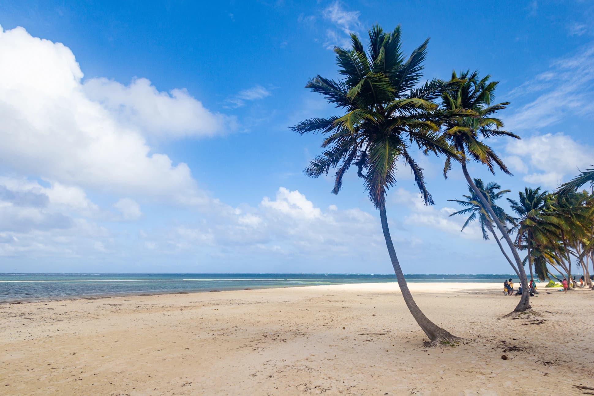 Ultimate Dominican Republic Day Trips from Santo Domingo (2025 Guide)