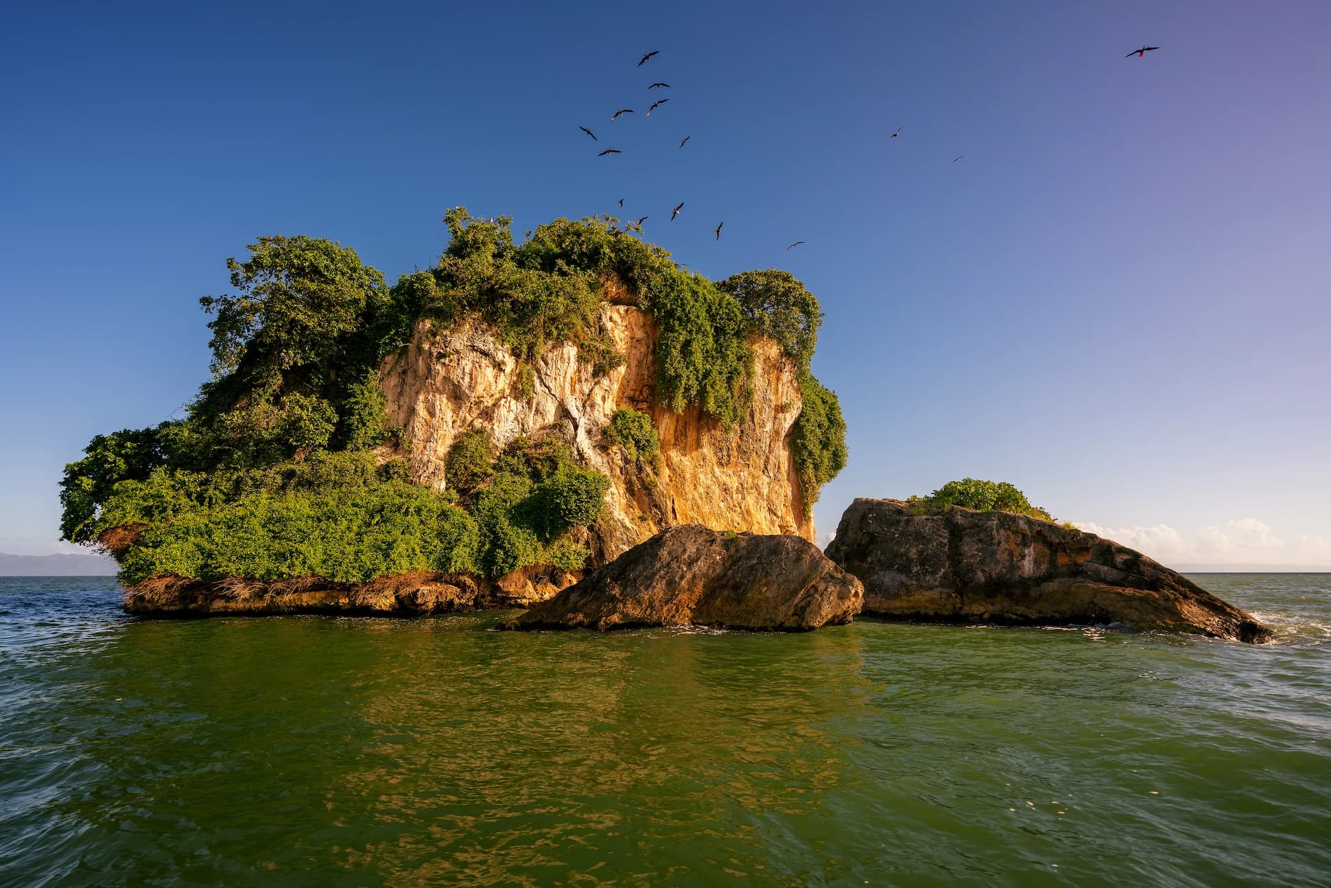 Small karst rock island covered with vegetation and birds in Los Haitises