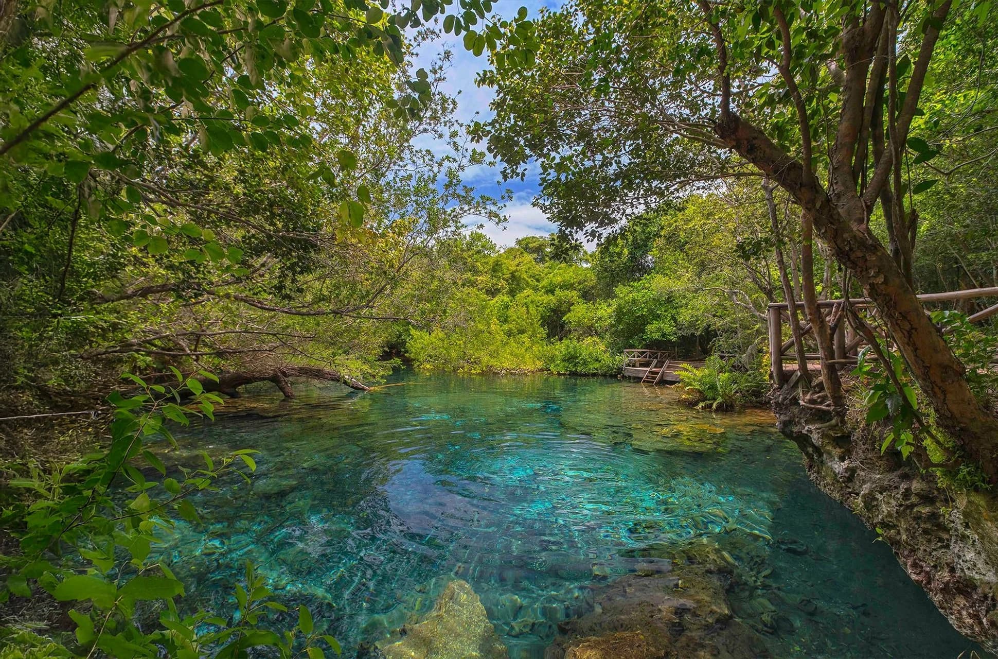 Crystal-clear lagoon in Ojos Indígenas Ecological Reserve in Punta Cana surrounded by tropical vegetation